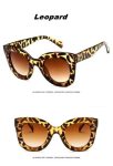 buy-women-in-sunglasses-collage-featuring-cat-962